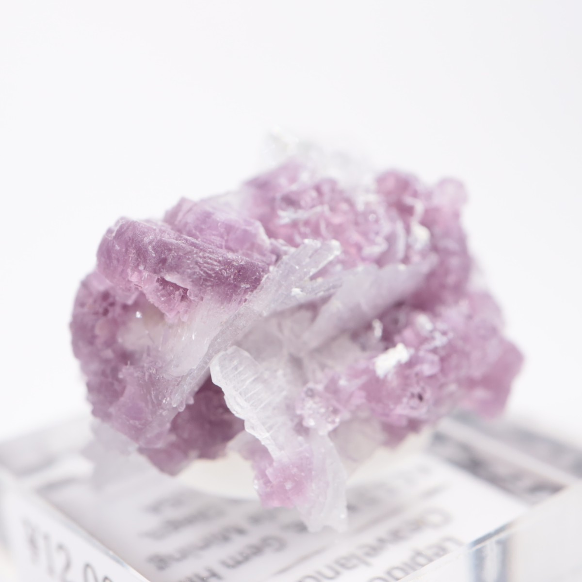 ����ե���˥����� ��ԥɥ饤�ȡ����꡼�֥�������