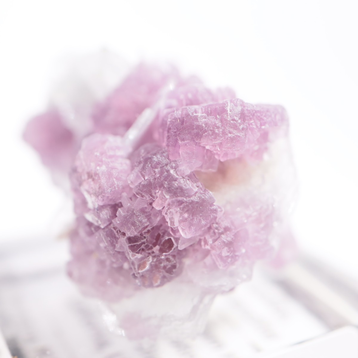 ����ե���˥����� ��ԥɥ饤�ȡ����꡼�֥�������