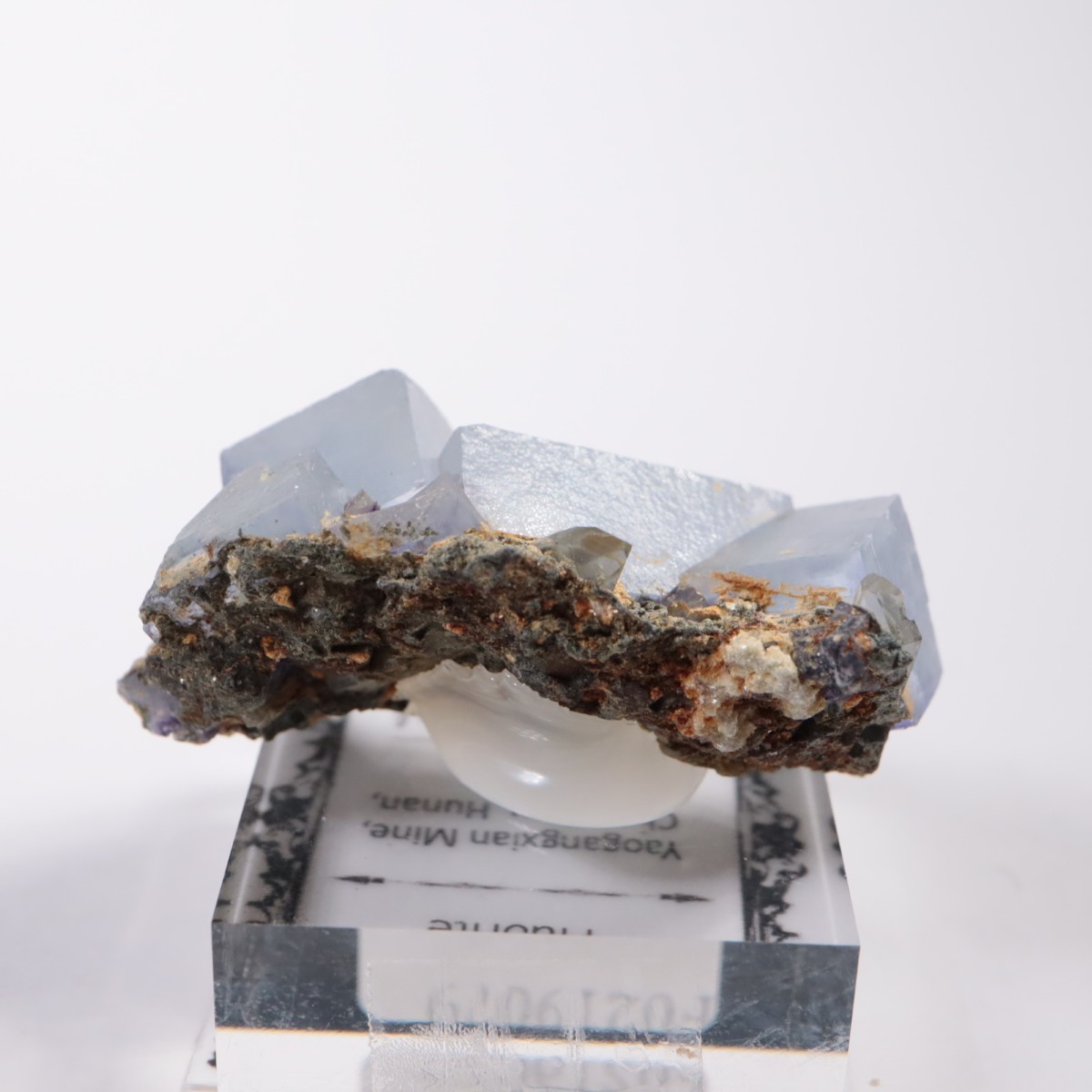 �䥪���󥷥��ۻ� �ե����饤��