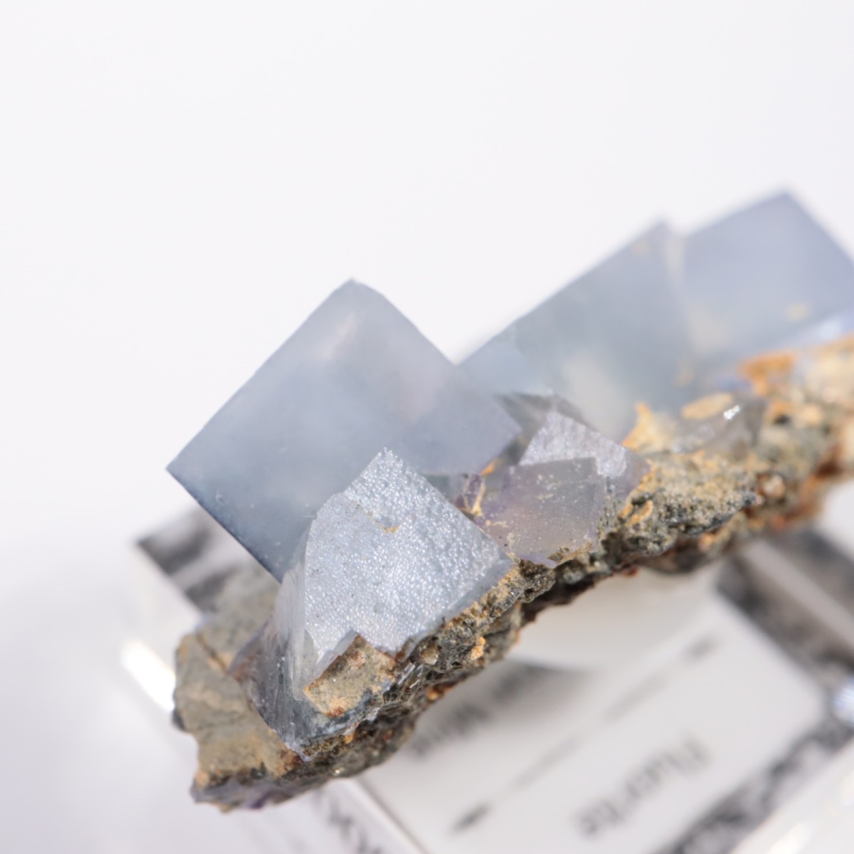 �䥪���󥷥��ۻ� �ե����饤��