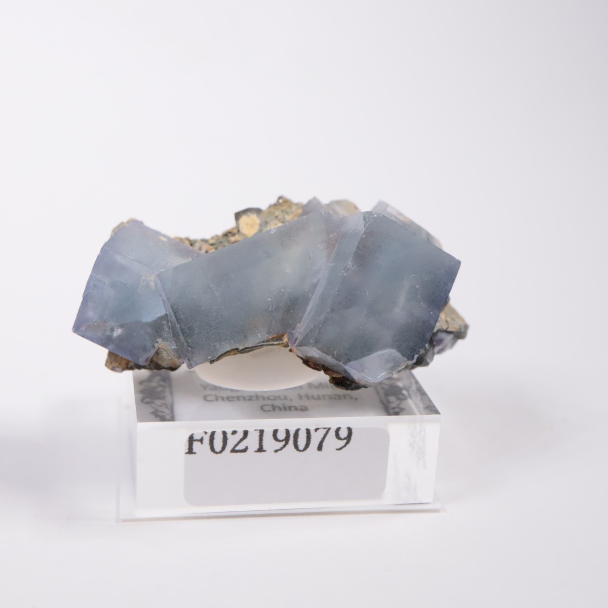 �䥪���󥷥��ۻ� �ե����饤��