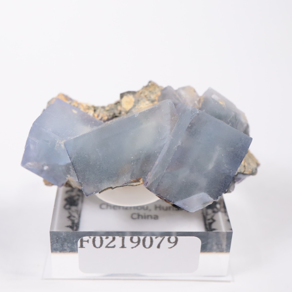 �䥪���󥷥��ۻ� �ե����饤��