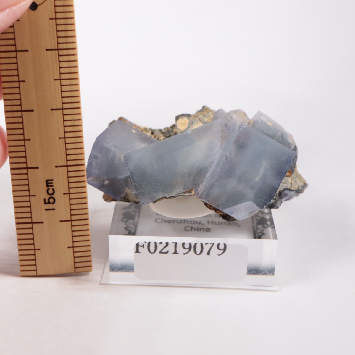 �䥪���󥷥��ۻ� �ե����饤��