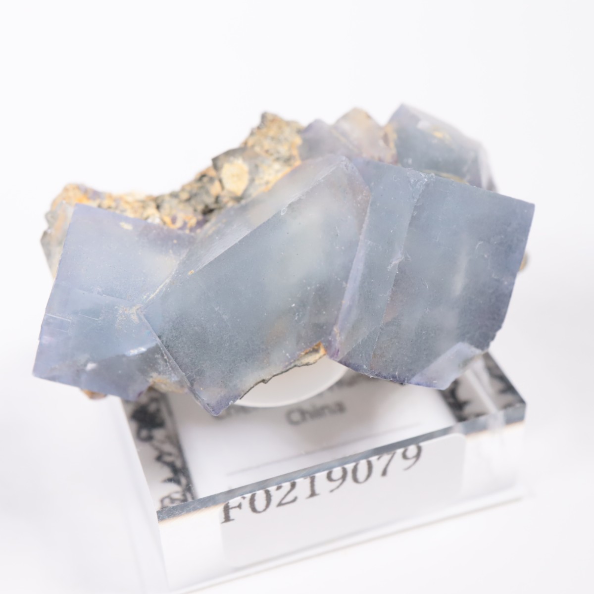 �䥪���󥷥��ۻ� �ե����饤��