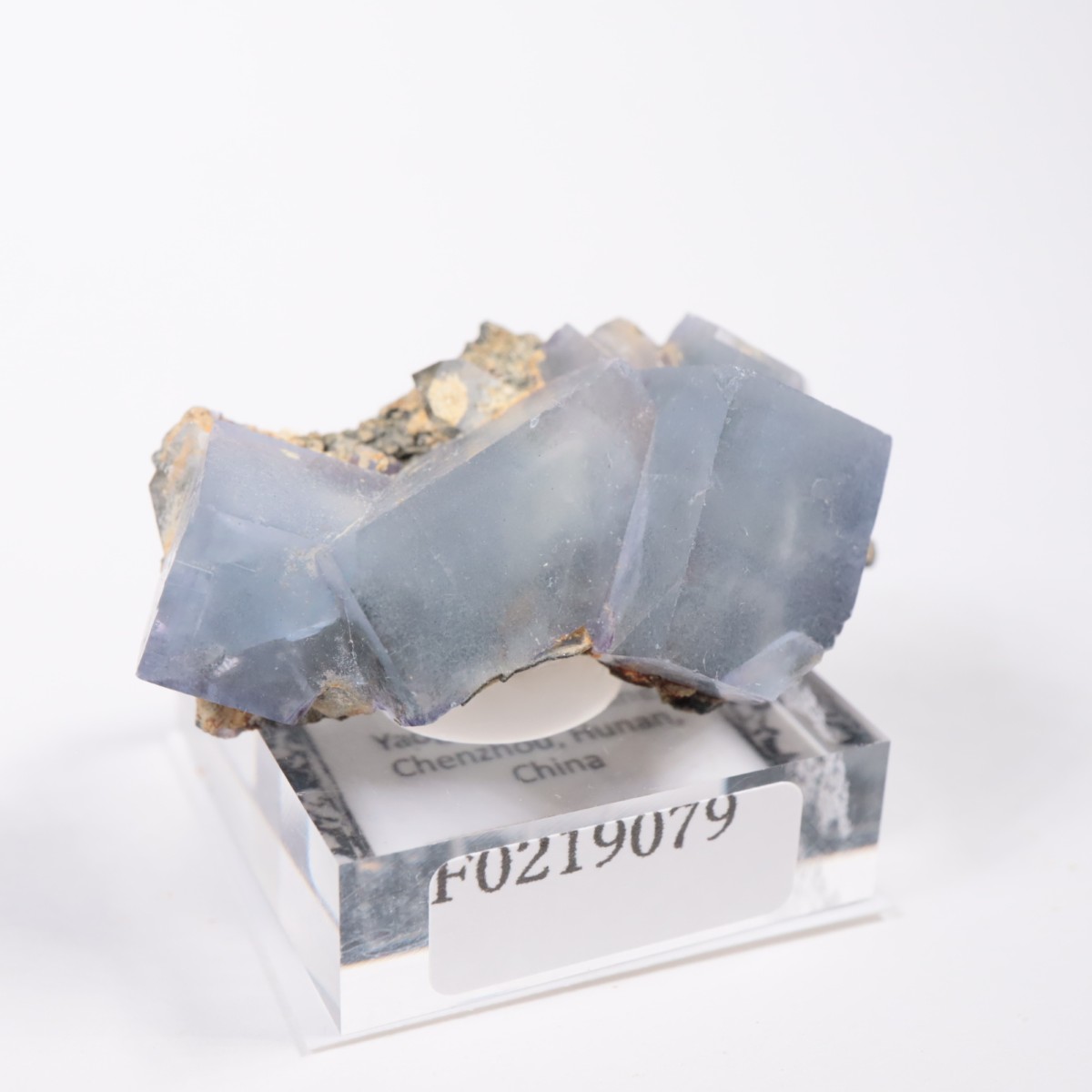 �䥪���󥷥��ۻ� �ե����饤��