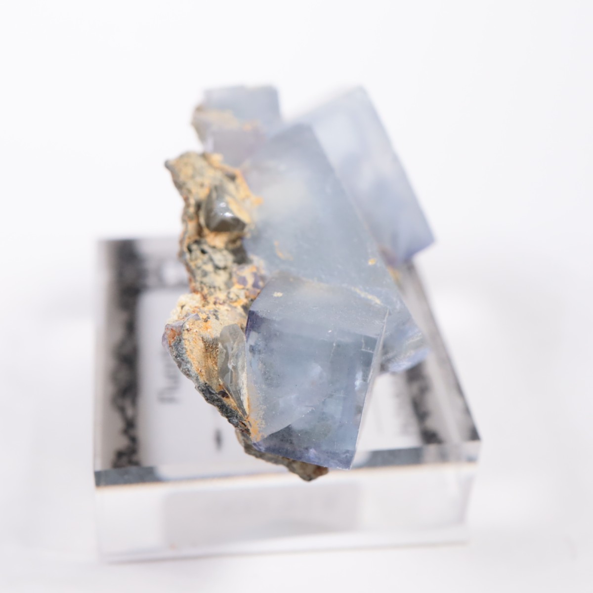 �䥪���󥷥��ۻ� �ե����饤��