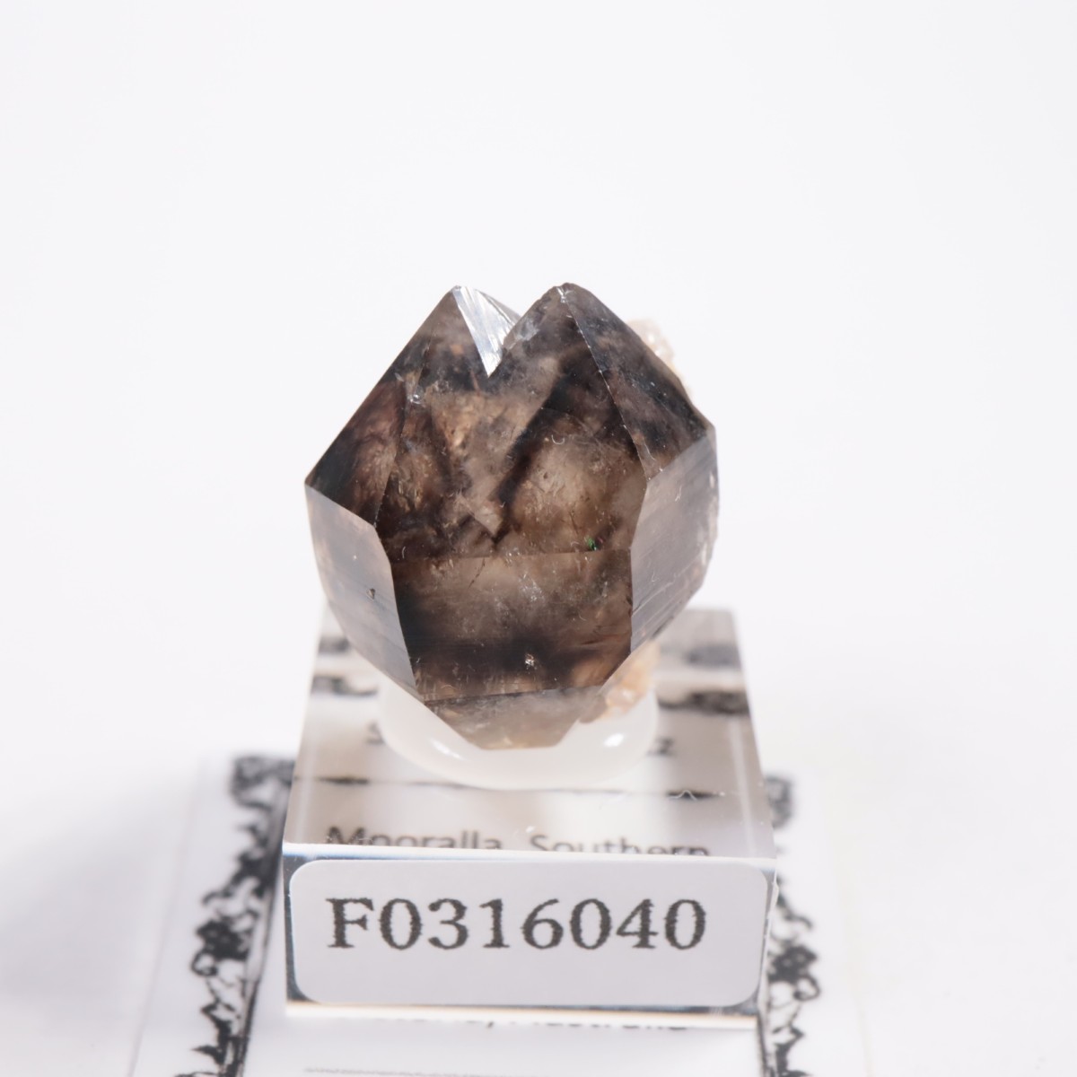 �������ȥ�ꥢ�� ����徽