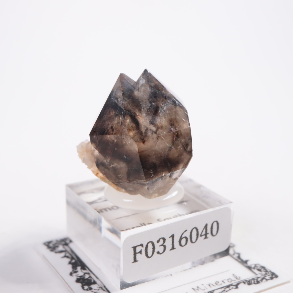 �������ȥ�ꥢ�� ����徽