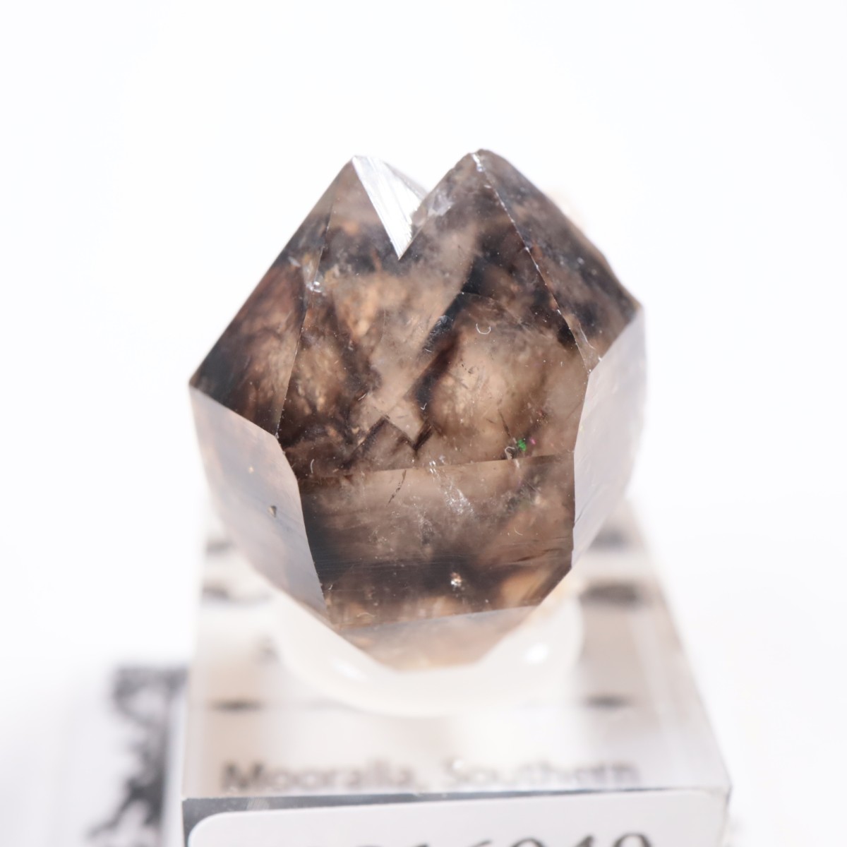 �������ȥ�ꥢ�� ����徽