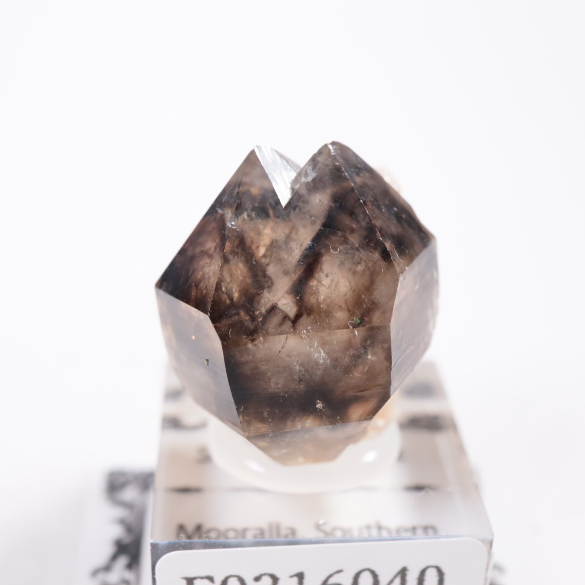 �������ȥ�ꥢ�� ����徽