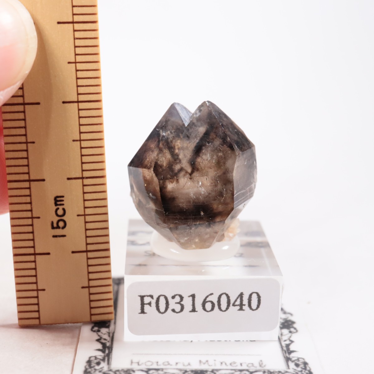 �������ȥ�ꥢ�� ����徽