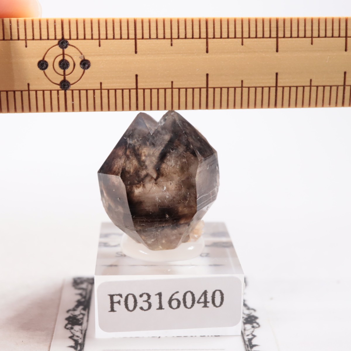 �������ȥ�ꥢ�� ����徽