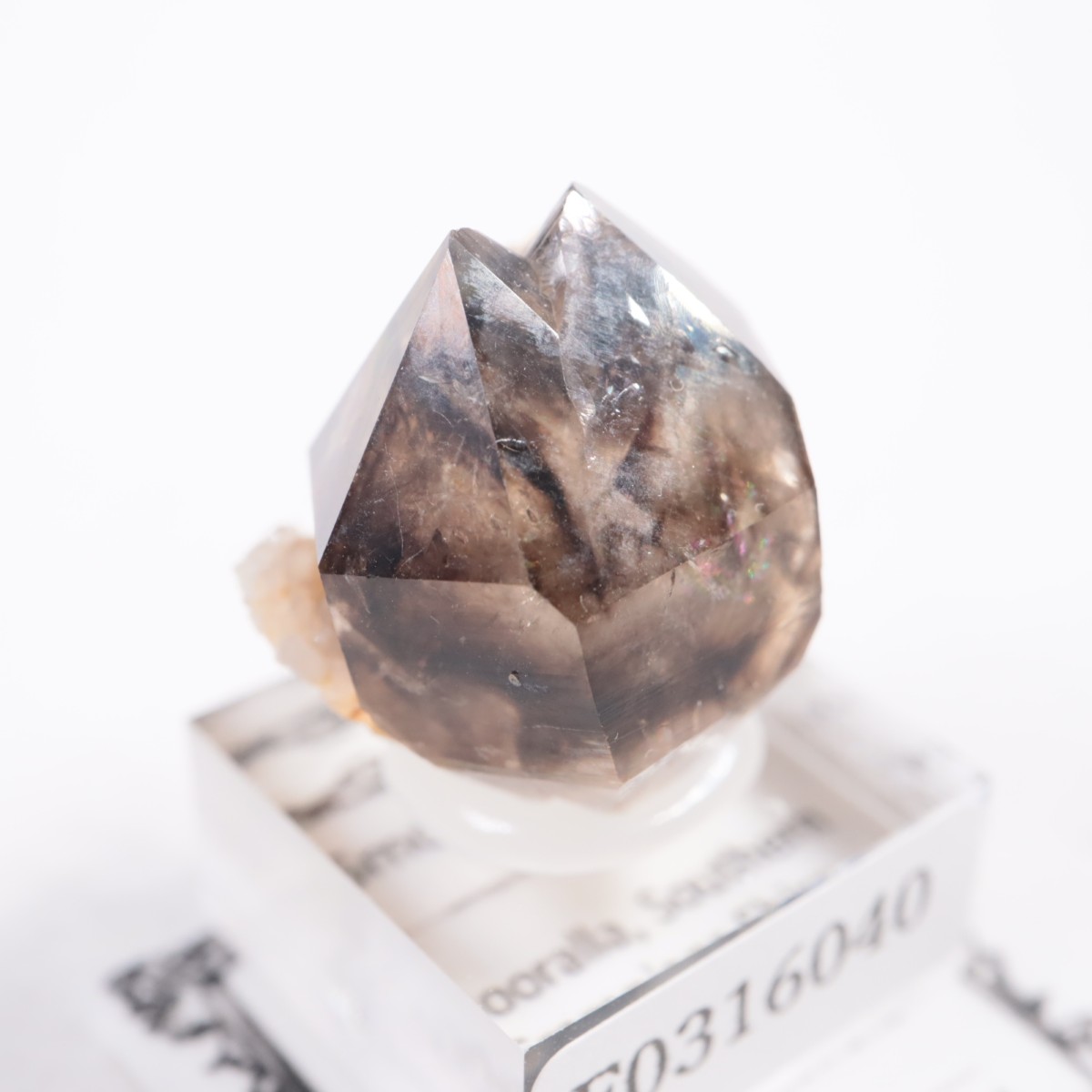 �������ȥ�ꥢ�� ����徽