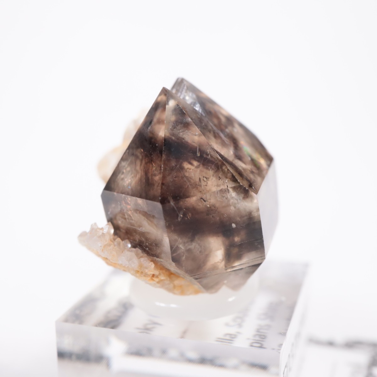 �������ȥ�ꥢ�� ����徽