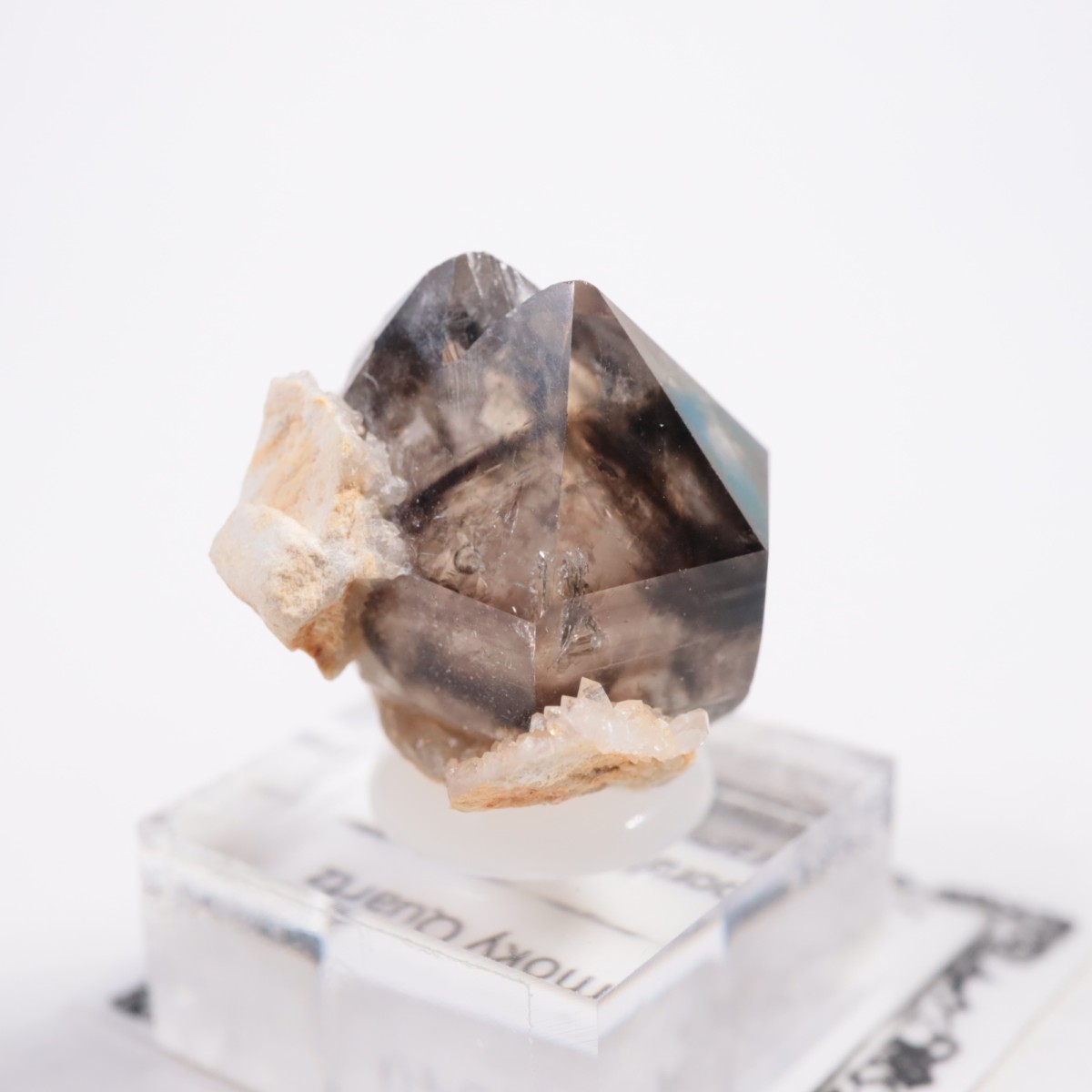 �������ȥ�ꥢ�� ����徽