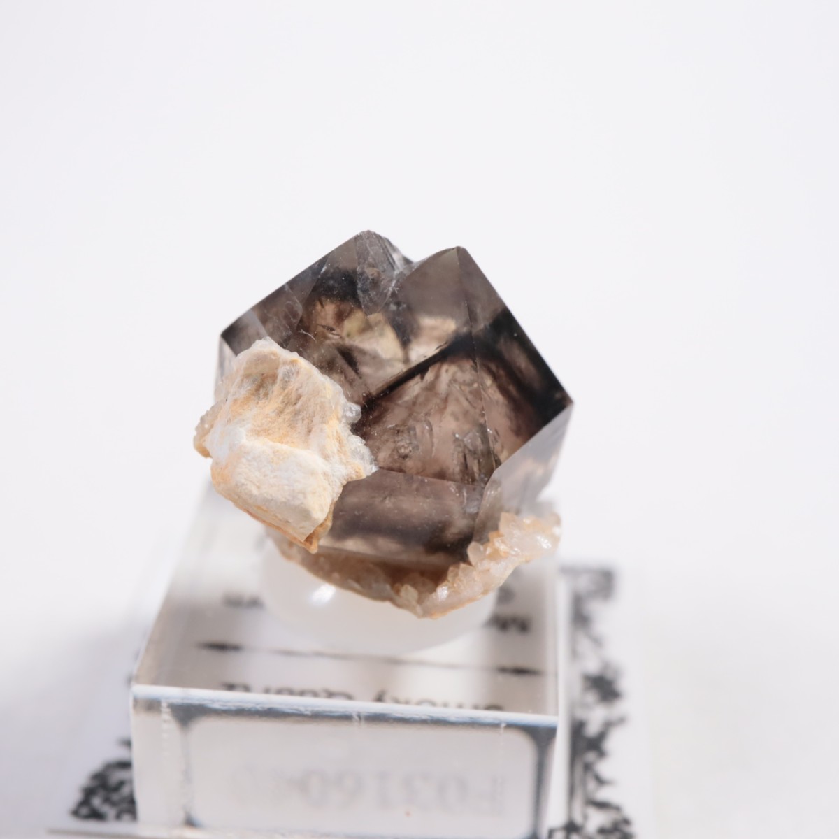 �������ȥ�ꥢ�� ����徽