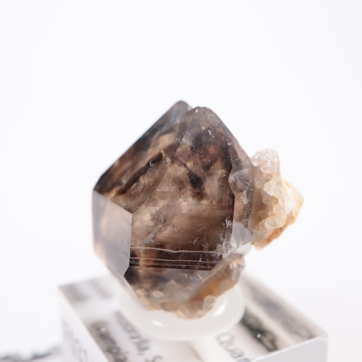 �������ȥ�ꥢ�� ����徽