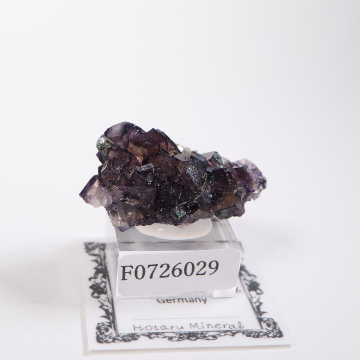 蛍石-フローライト- 約106g 鉱物標本⭐︎レア産地(ラベル参照)⭐︎(No.1) The Hidden Forest 蛍石 | 鉱物標本,ハ行,フローライト/蛍石