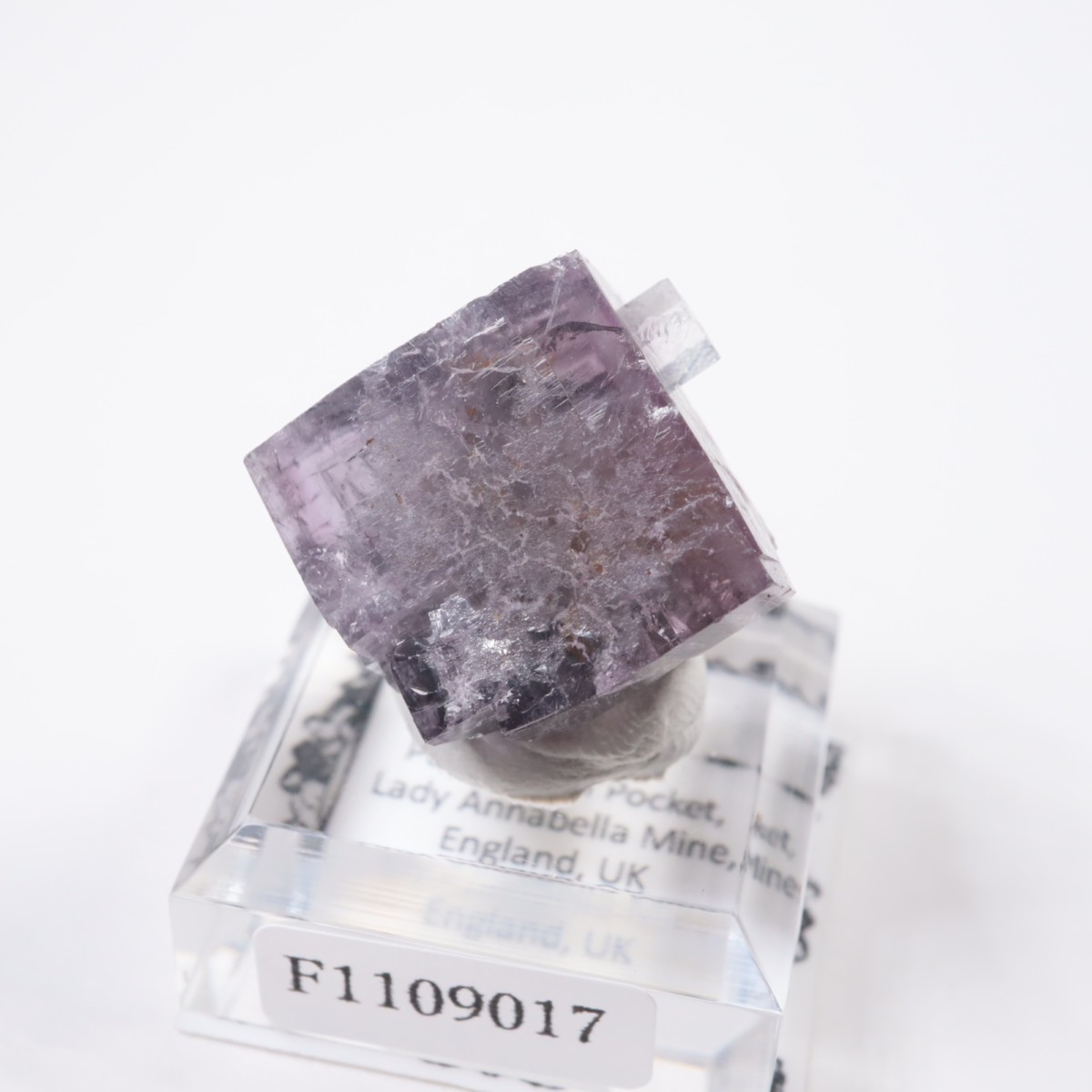 Purple Rain Pocket�� �ե����饤��