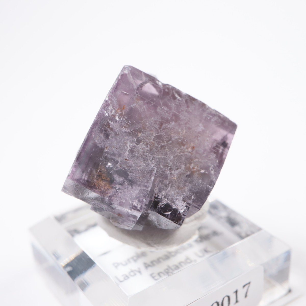 Purple Rain Pocket�� �ե����饤��