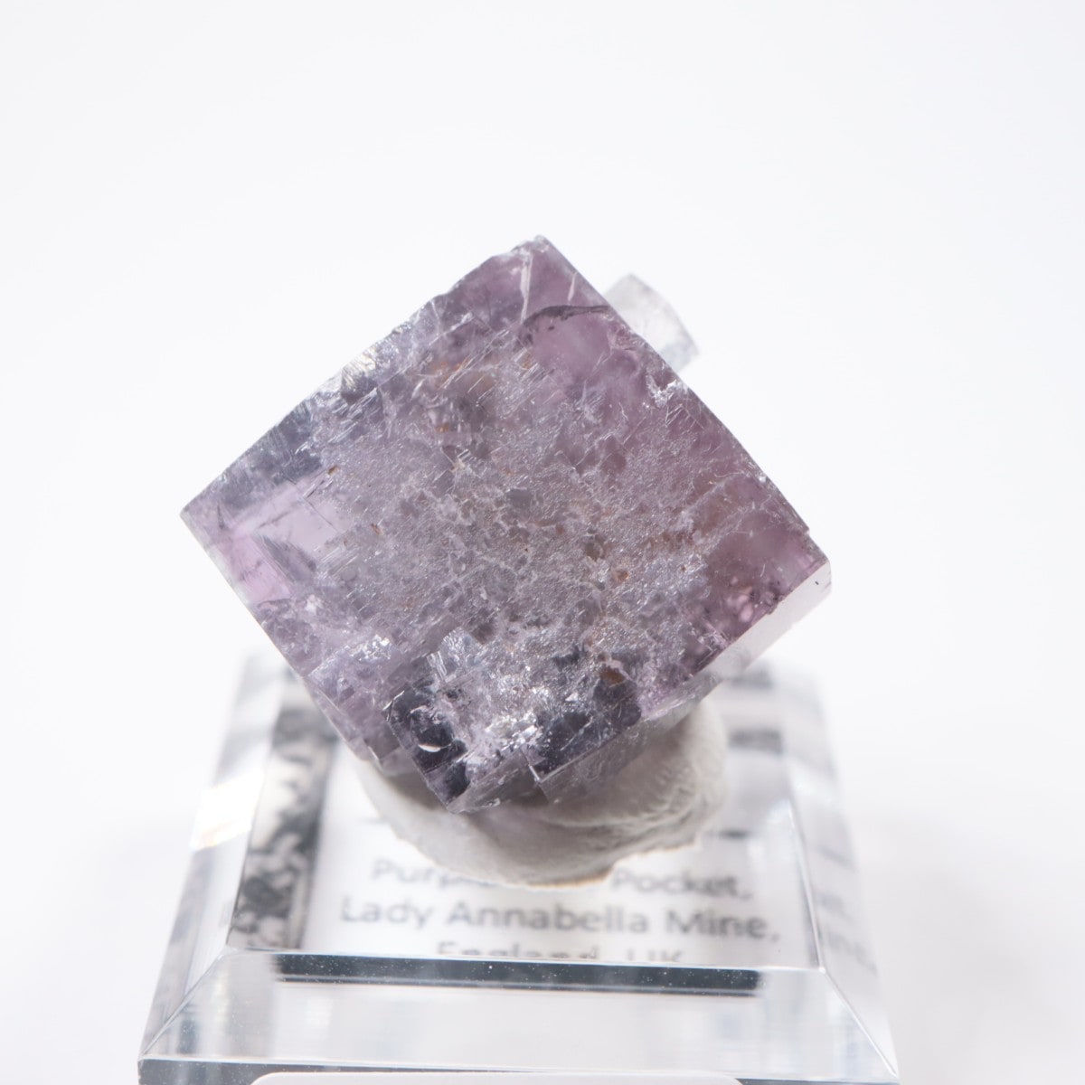 Purple Rain Pocket�� �ե����饤��