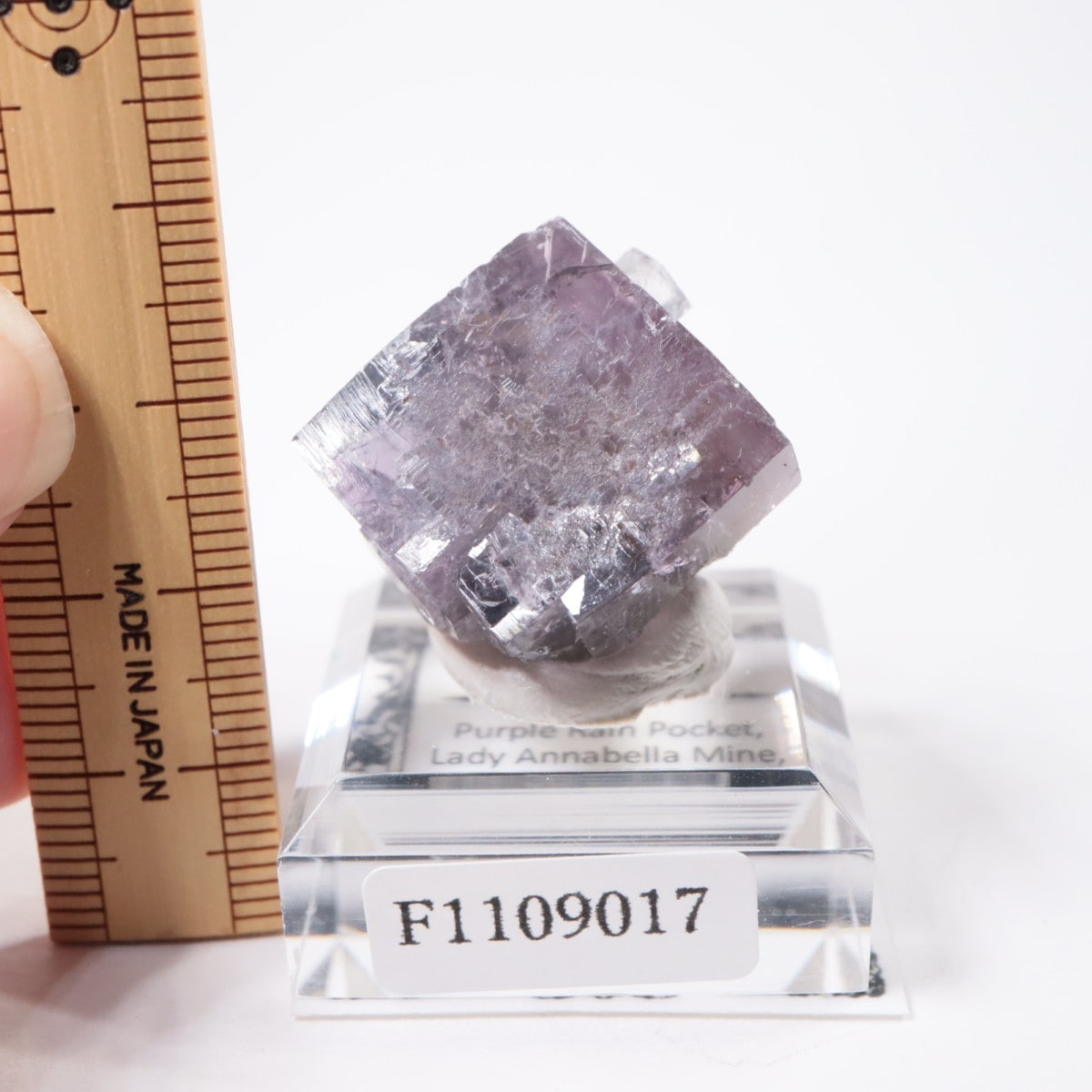 Purple Rain Pocket産 フローライト | 鉱物標本,ハ行,フローライト/蛍