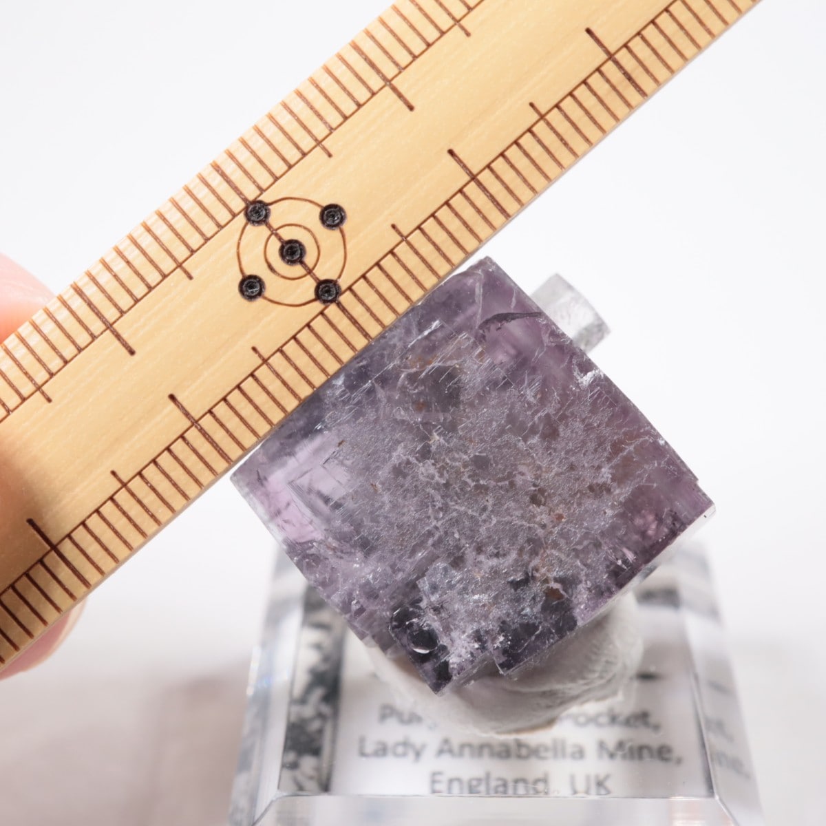 Purple Rain Pocket�� �ե����饤��