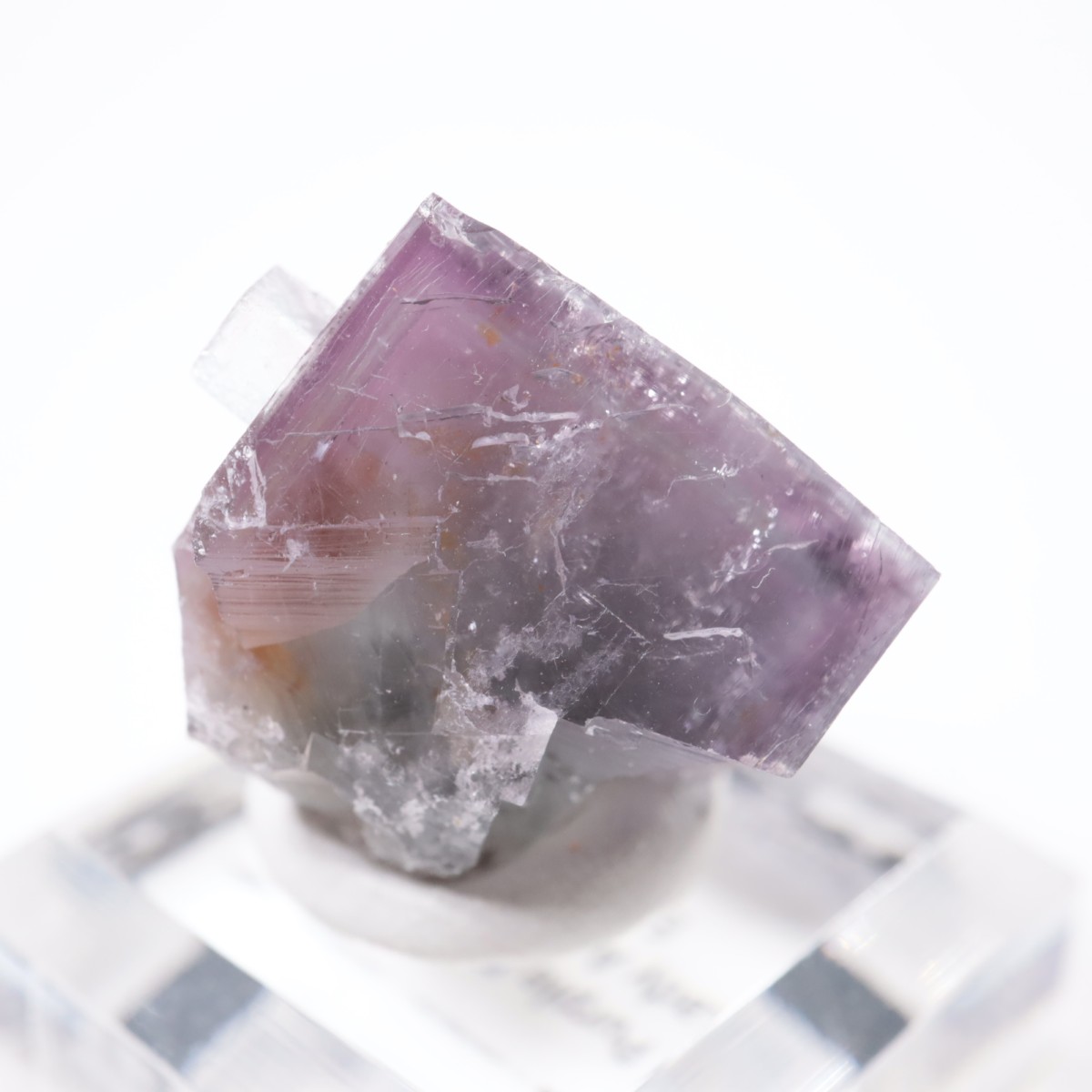 Purple Rain Pocket�� �ե����饤��