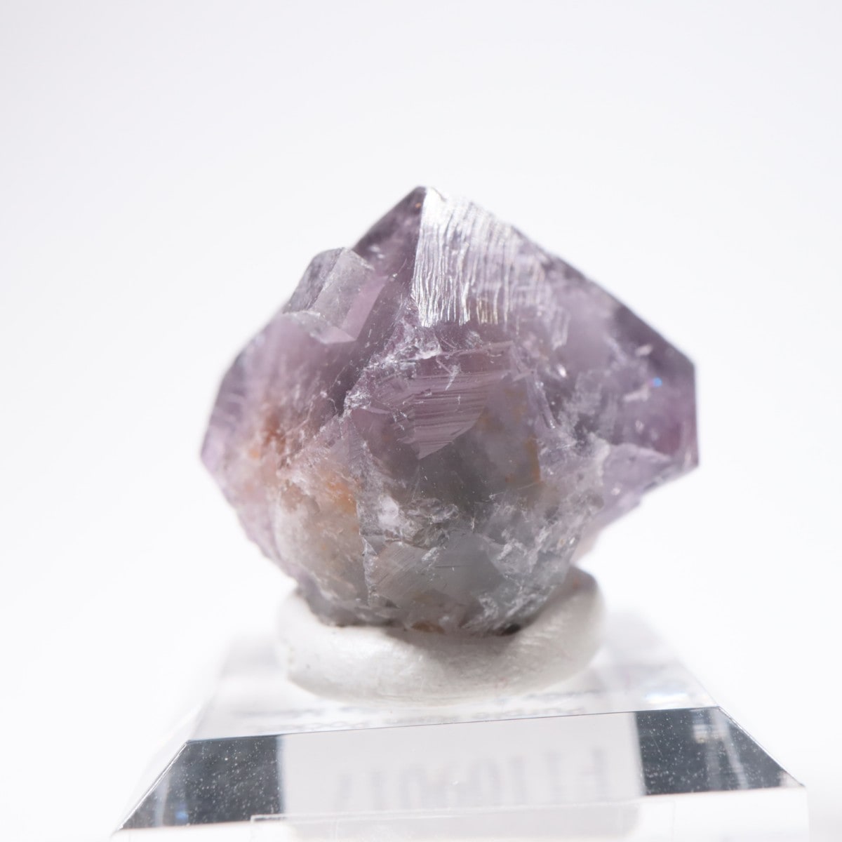 Purple Rain Pocket�� �ե����饤��