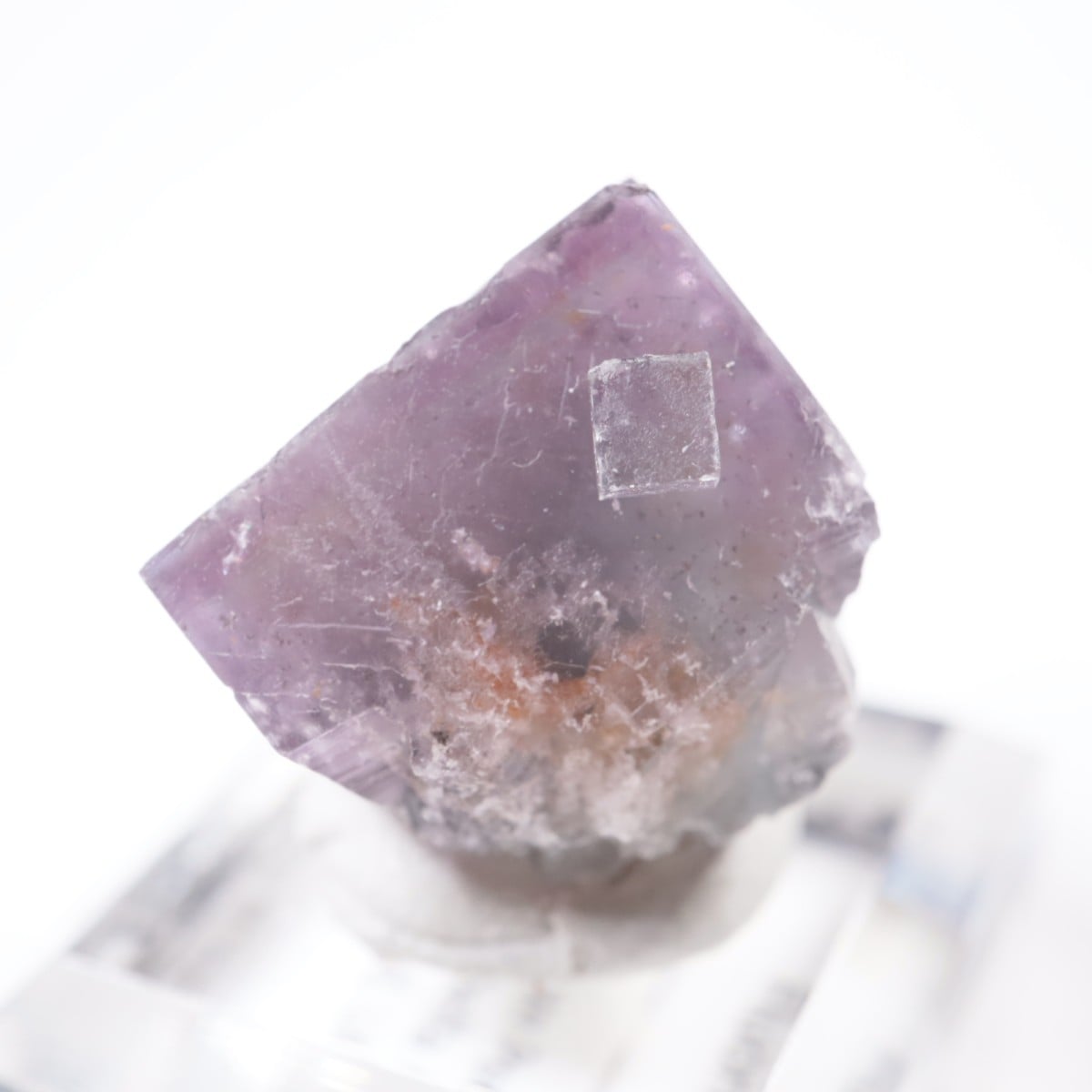 Purple Rain Pocket�� �ե����饤��