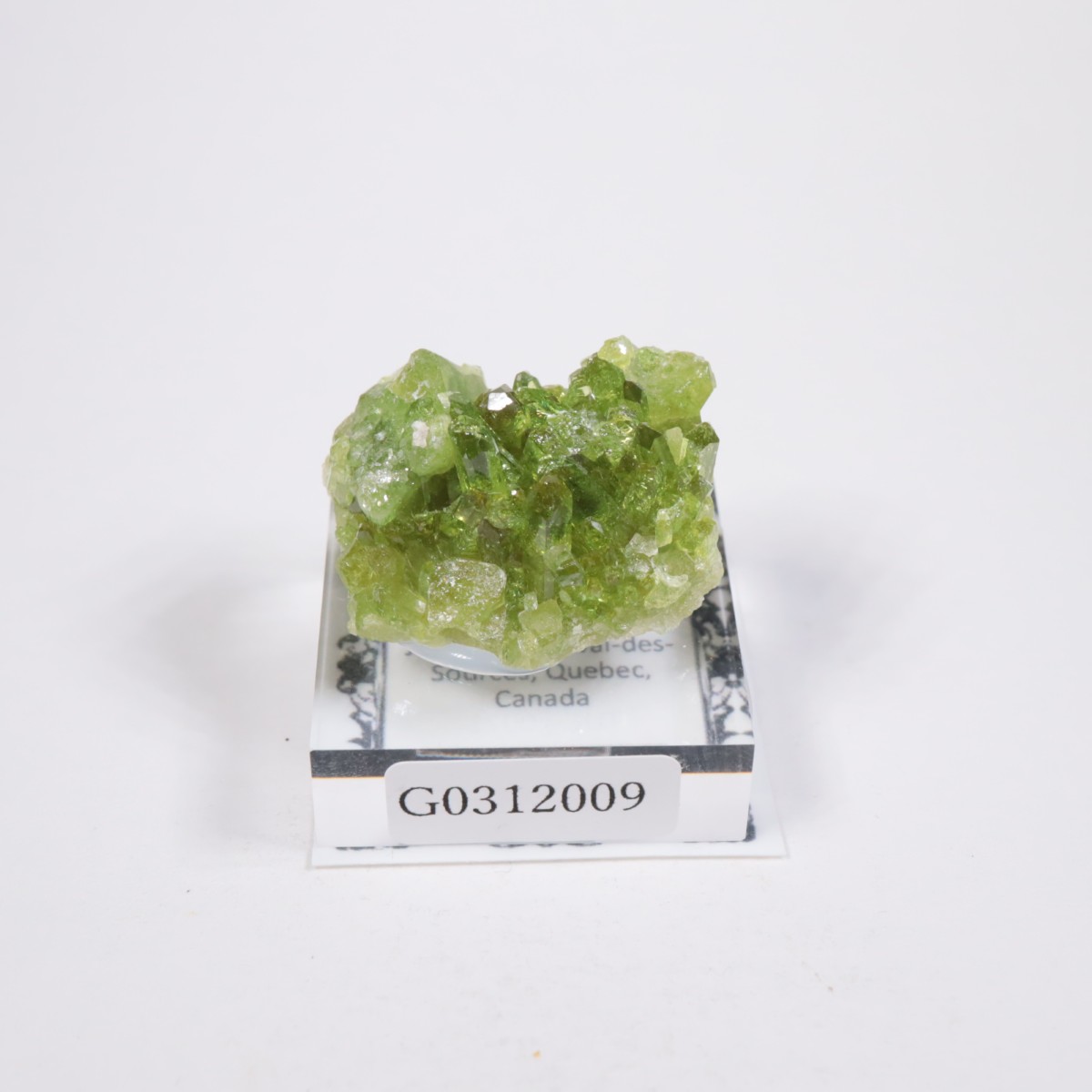 Jeffrey�ۻ��� �٥��ӥ��ʥ���