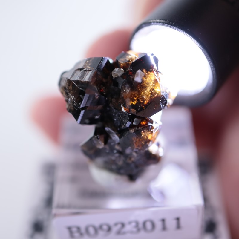 錫石（九連晶）　希少産地　鉱物標本 錫石（九連晶） 希少産地 鉱物標本