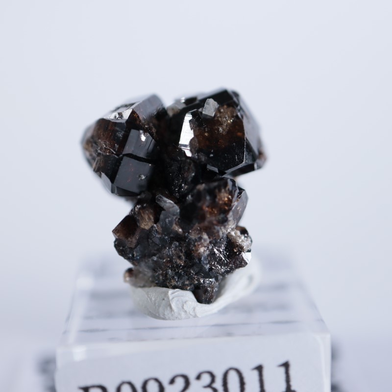 錫石（九連晶）　希少産地　鉱物標本 錫石（九連晶） 希少産地 鉱物標本