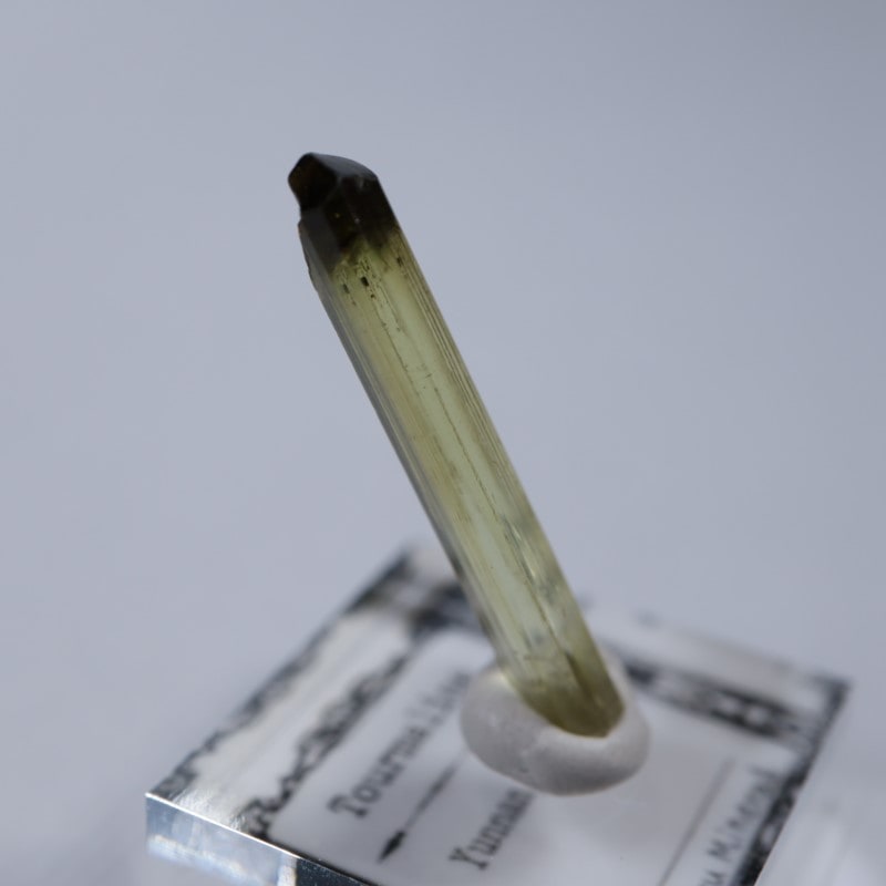 トルマリン　中国産 アフガニスタン産バイカラートルマリン（通称名：バイカラールベライト