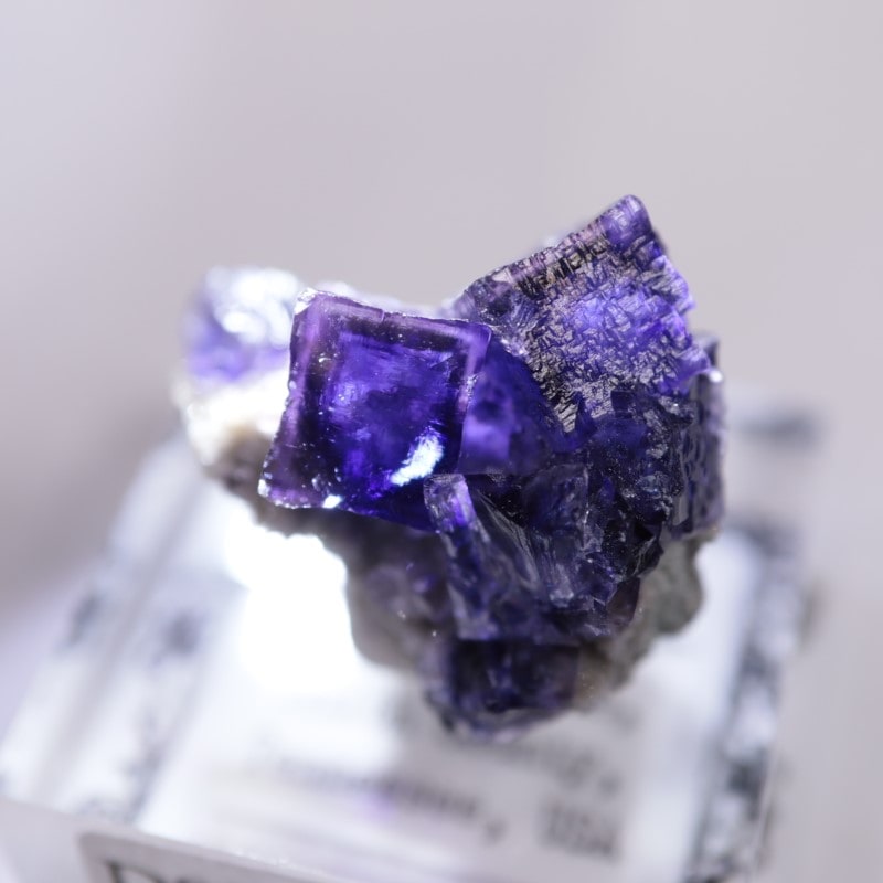 エルムウッド鉱山 フローライト | 鉱物標本,ハ行,フローライト/蛍石