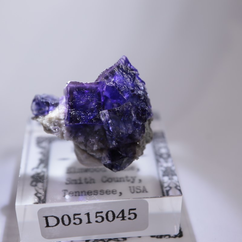 エルムウッド鉱山 フローライト | 鉱物標本,ハ行,フローライト/蛍石