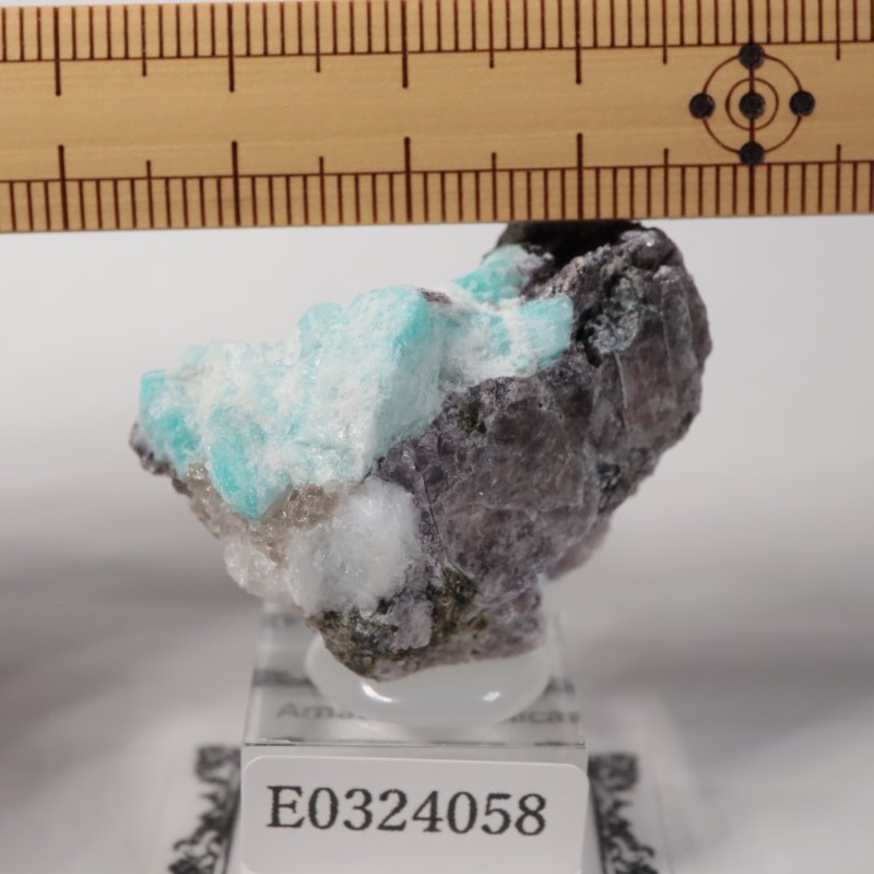 �ޥ��������뻺�����ޥ��ʥ��ȡ�����