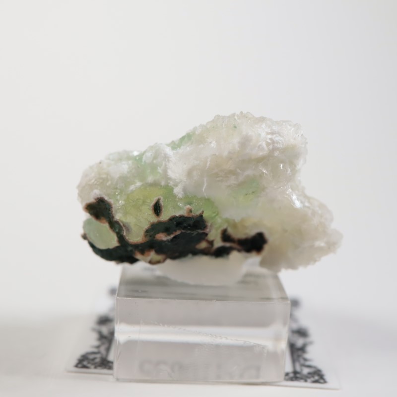 Lonavala�������ݥե��饤��