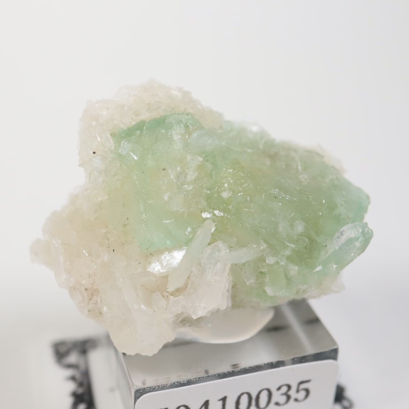 Lonavala�������ݥե��饤��