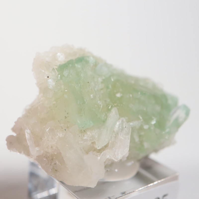 Lonavala�������ݥե��饤��