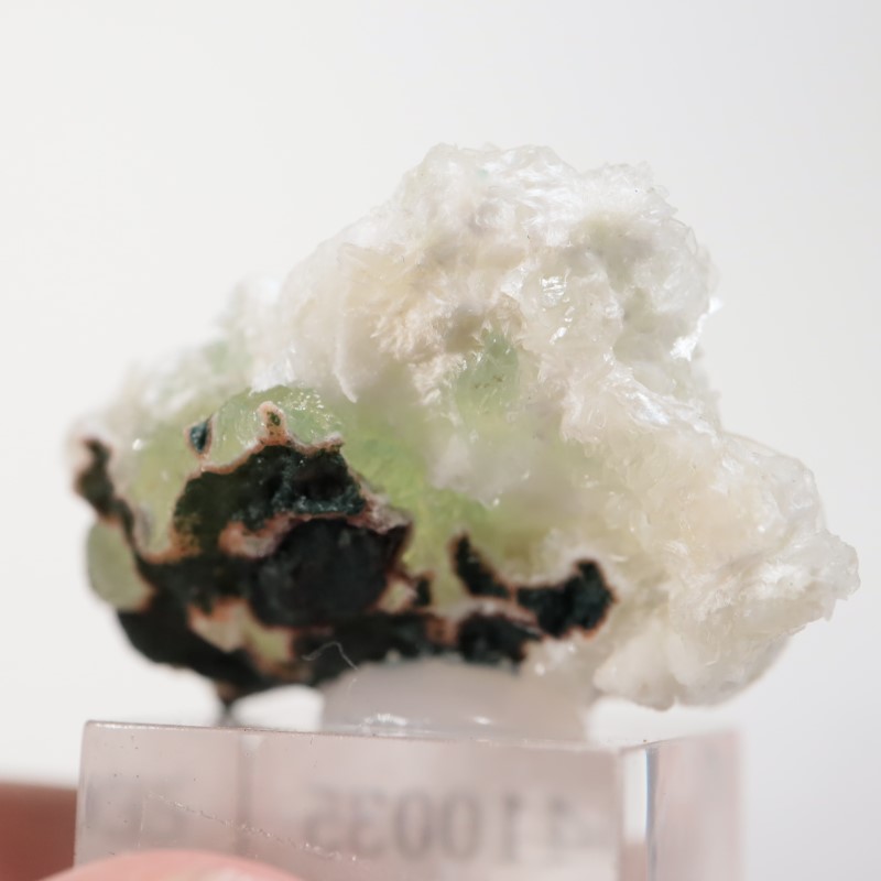 Lonavala�������ݥե��饤��