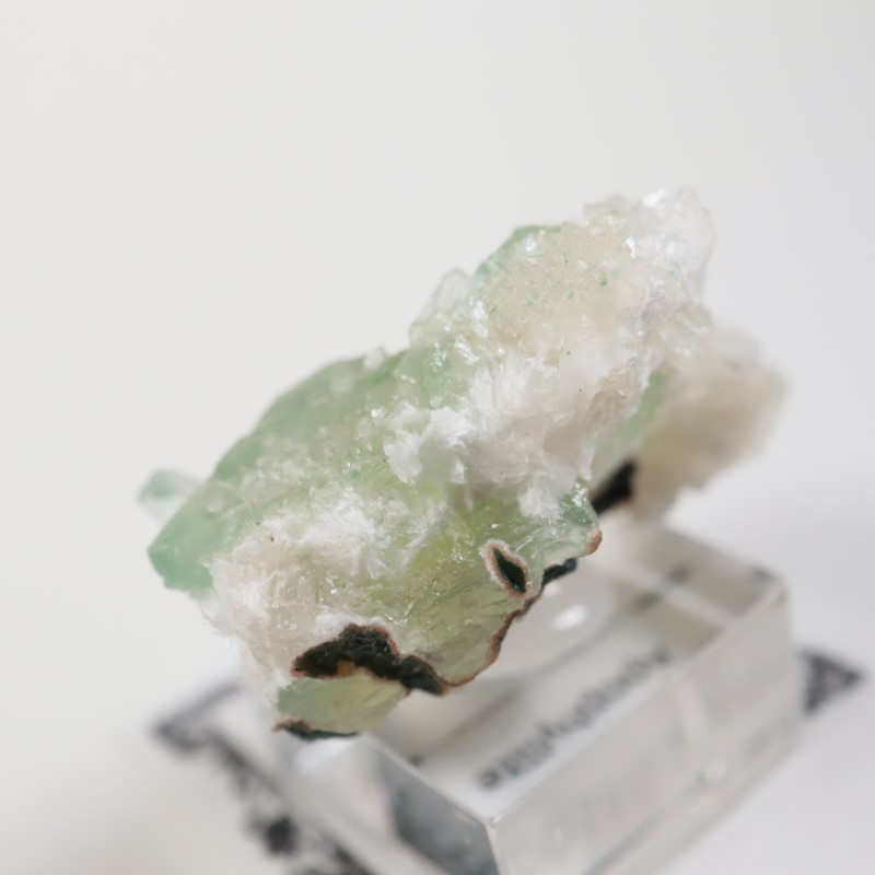 Lonavala�������ݥե��饤��