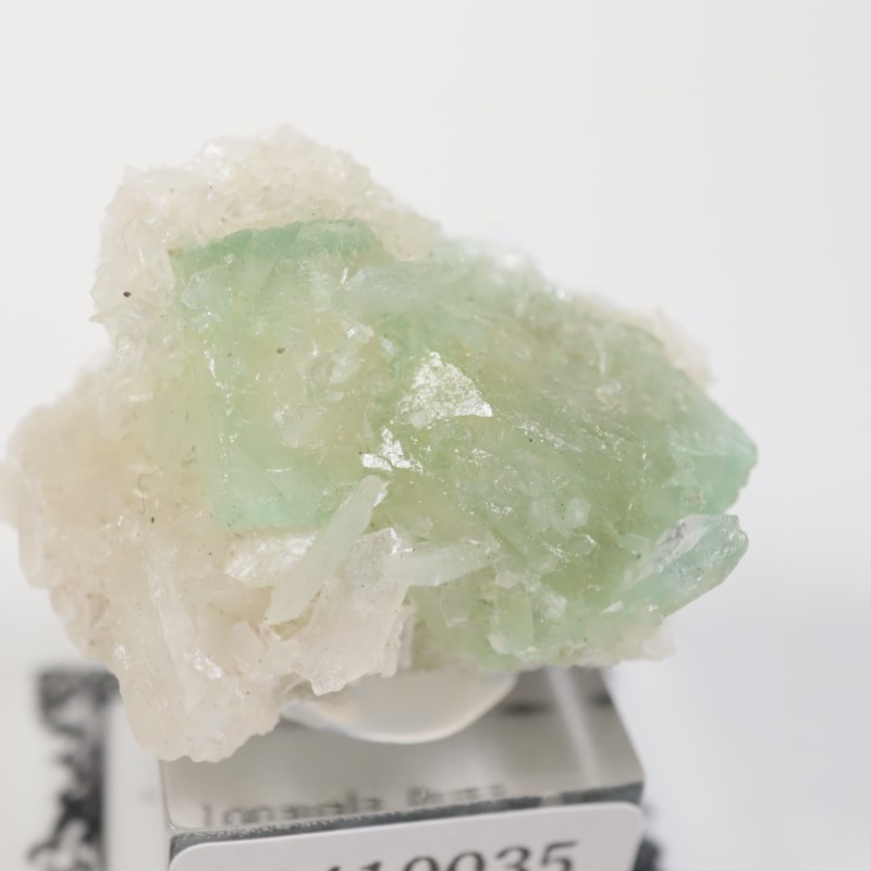 Lonavala�������ݥե��饤��