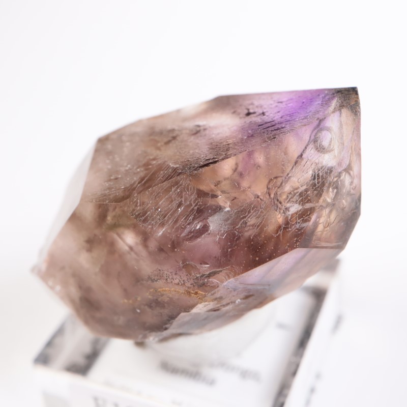 �֥��ɥС������������ꥢ�᥷����