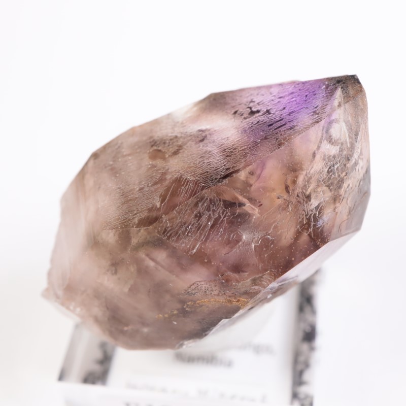 �֥��ɥС������������ꥢ�᥷����