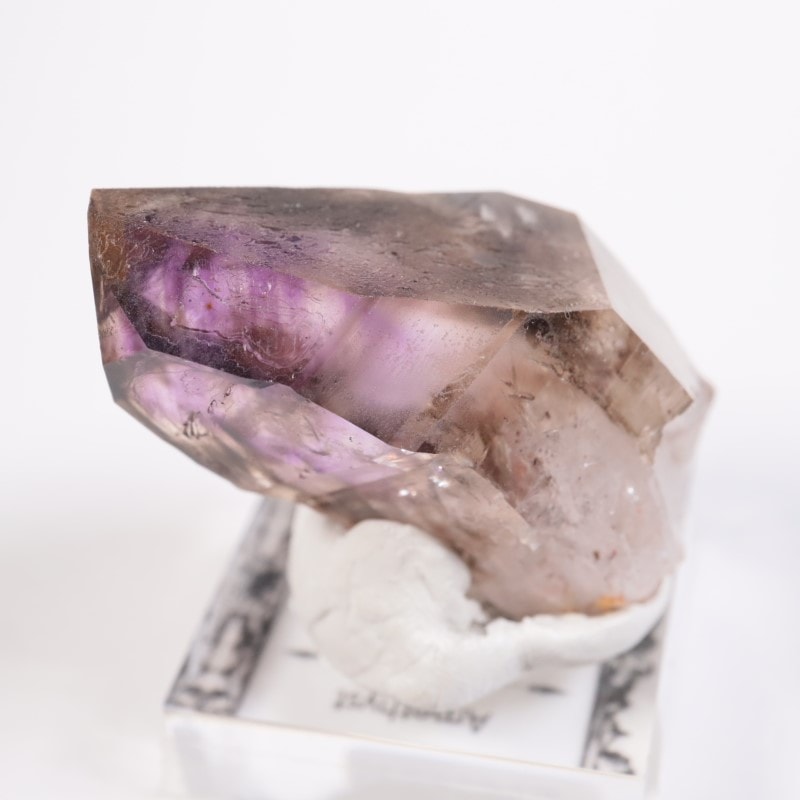 �֥��ɥС������������ꥢ�᥷����