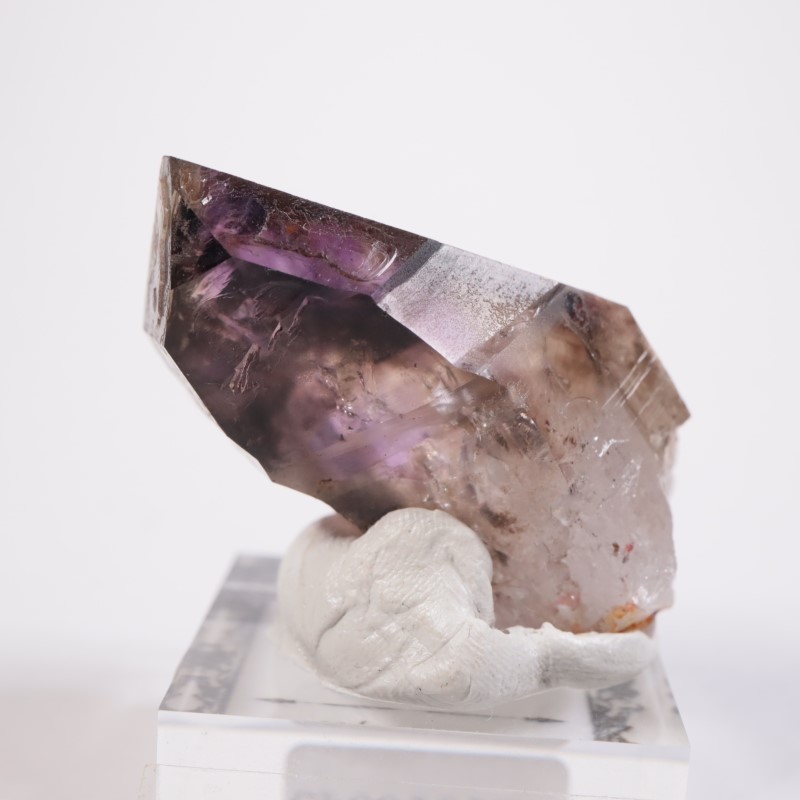 �֥��ɥС������������ꥢ�᥷����