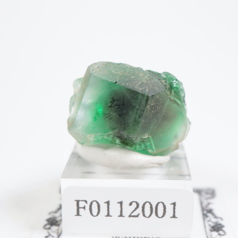 �ʥߥӥ��� �ե����饤��