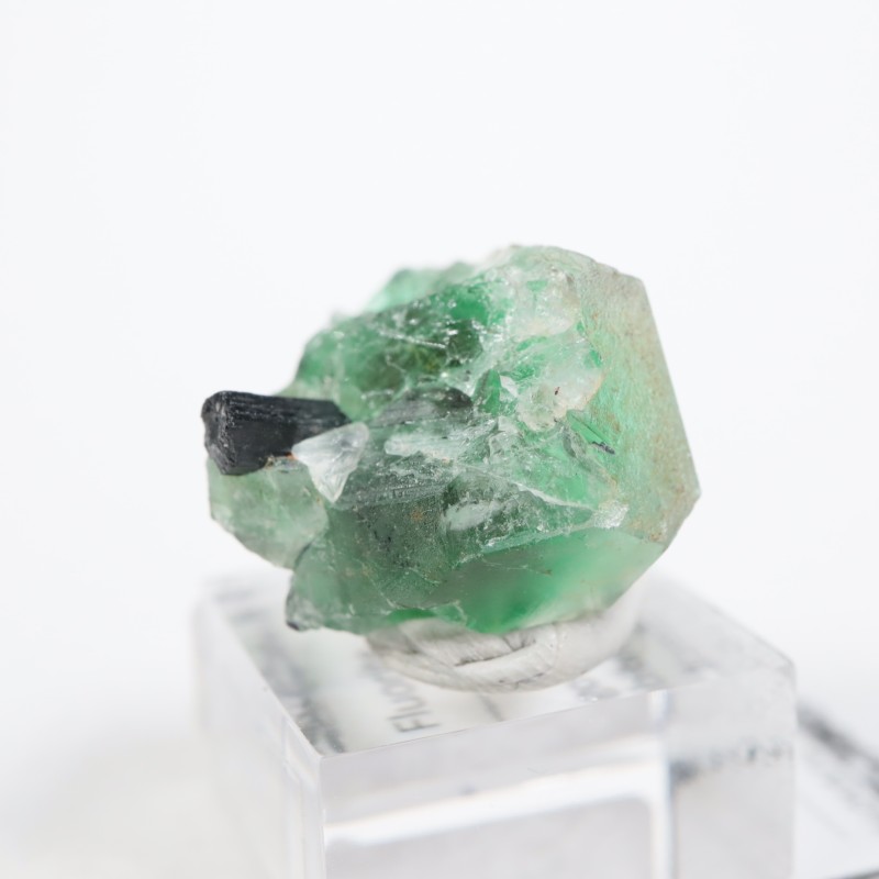 �ʥߥӥ��� �ե����饤��