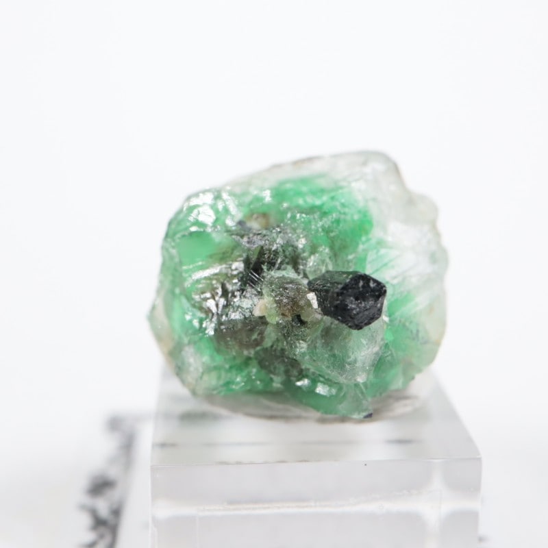 �ʥߥӥ��� �ե����饤��